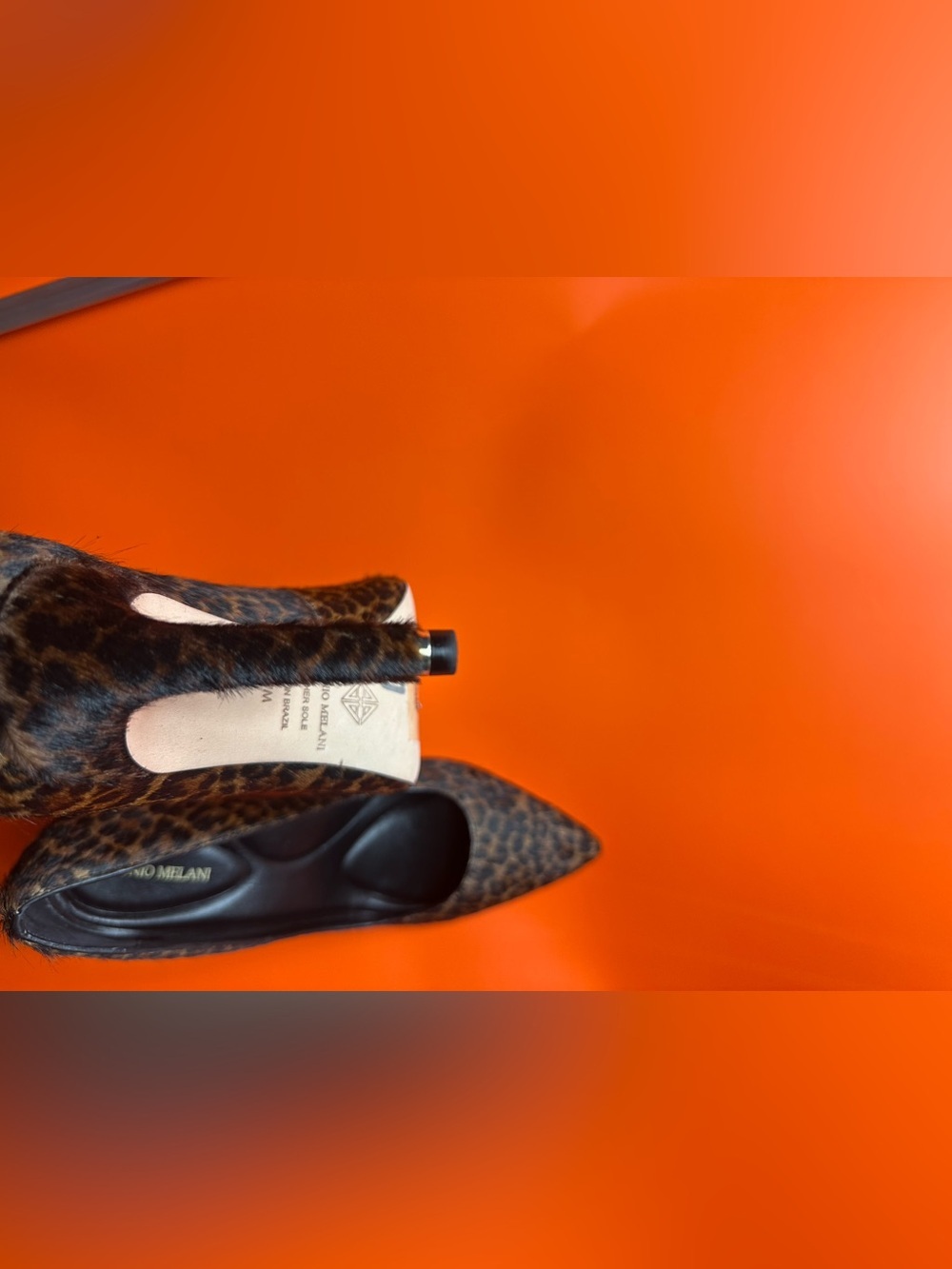 Leopard Print Pointed-Toe High Heels - Picture 14 of 16